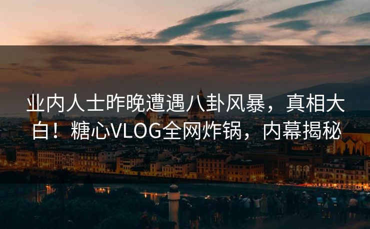 业内人士昨晚遭遇八卦风暴，真相大白！糖心VLOG全网炸锅，内幕揭秘