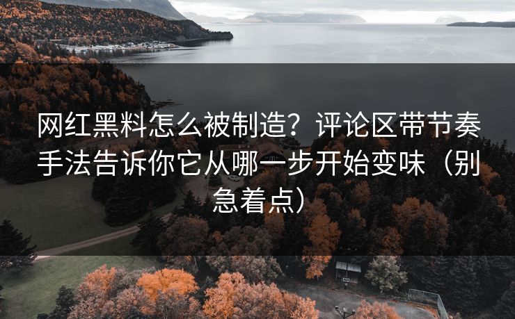 网红黑料怎么被制造？评论区带节奏手法告诉你它从哪一步开始变味（别急着点）  第1张