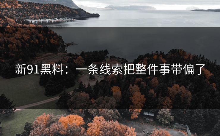 新91黑料：一条线索把整件事带偏了
