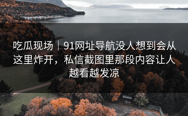 吃瓜现场｜91网址导航没人想到会从这里炸开，私信截图里那段内容让人越看越发凉